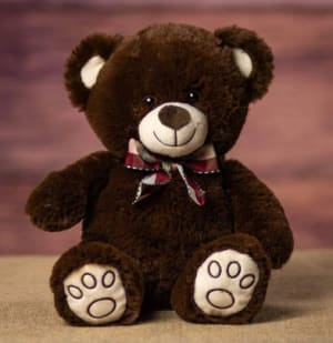 13" Paw Print Teddy Quartet Dark Brown 