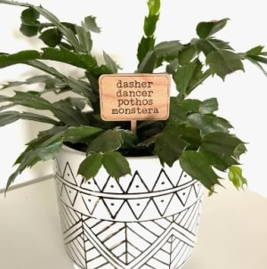 Plant Stake - holiday