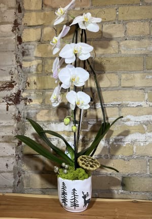 Seasonal Orchid Flower Bouquet
