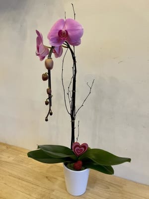 Pink Orchid Flower Bouquet