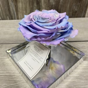 Single Unicorn Forever Rose in Acrylic Box