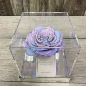 Single Unicorn Forever Rose in Acrylic Box Flower Bouquet