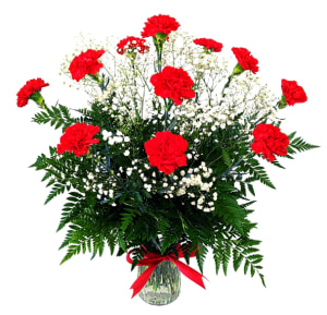 12 or 24 Red Carnations With Baby's Breath V-1404 Flower Bouquet