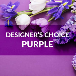 Designer's Choice: Purple