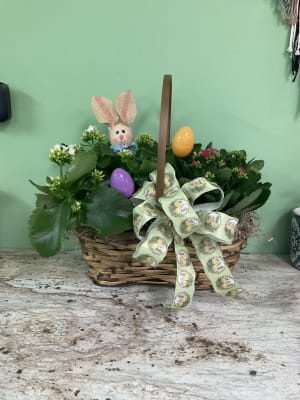 Peanut Basket Large