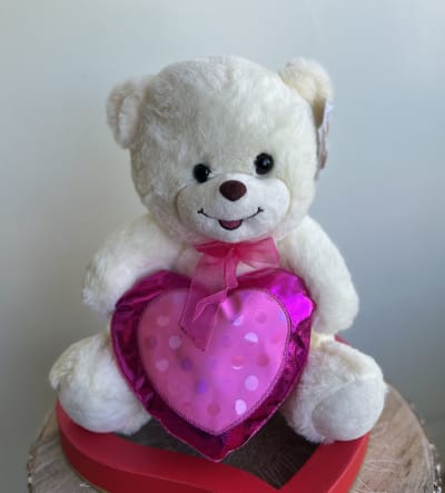 12 Get Well Teddy Bear Flower Delivery San Francisco CA - You See Flowers  At U C Medical Center