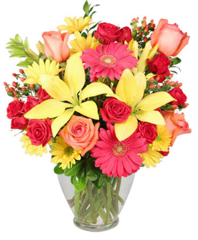 Sparkling Winter Joy Flower Arrangement Flower Delivery Worthington &  Powell OH - Milano's UpTowne Florist