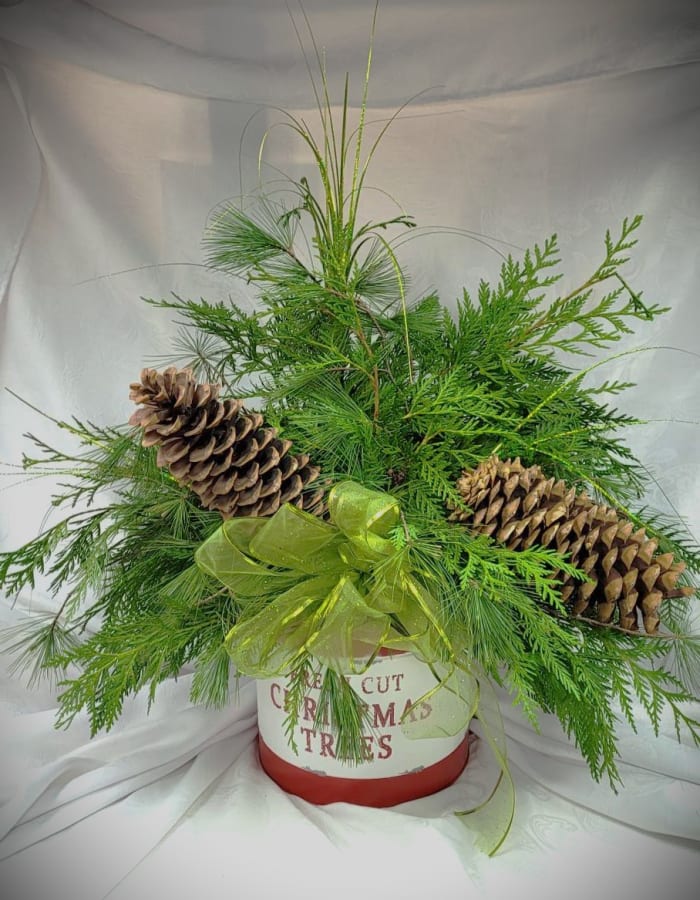 Christmas Tree Bouquet (In-House Design)
