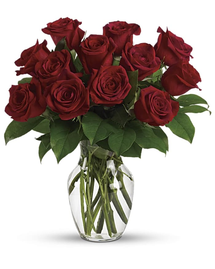 Standard Dozen Roses - Red Roses