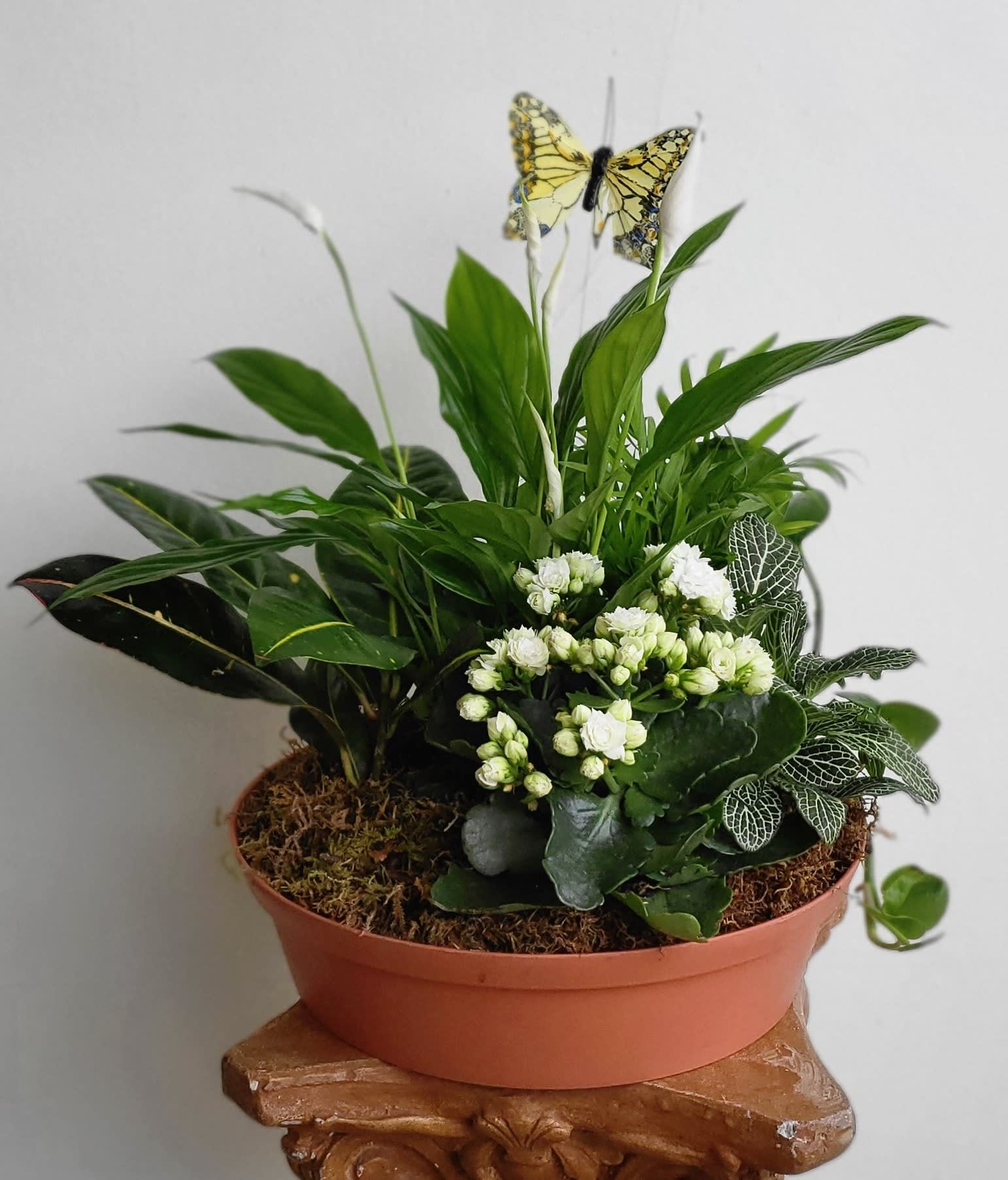 San Bruno Florist Flower Delivery by San Bruno Flower Fashions.