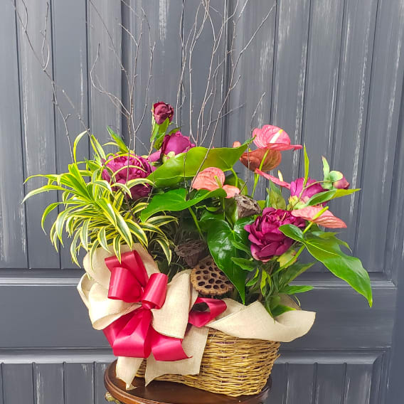 Tropical Plant Combo