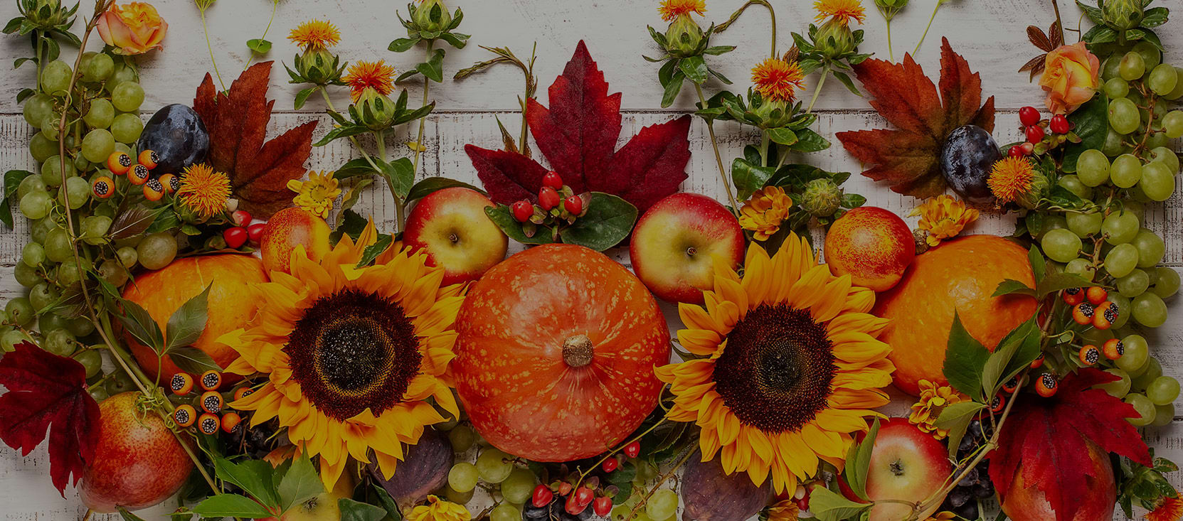 Soddy Daisy Tn Florist Same Day Flower Delivery in Soddy Daisy, Tn