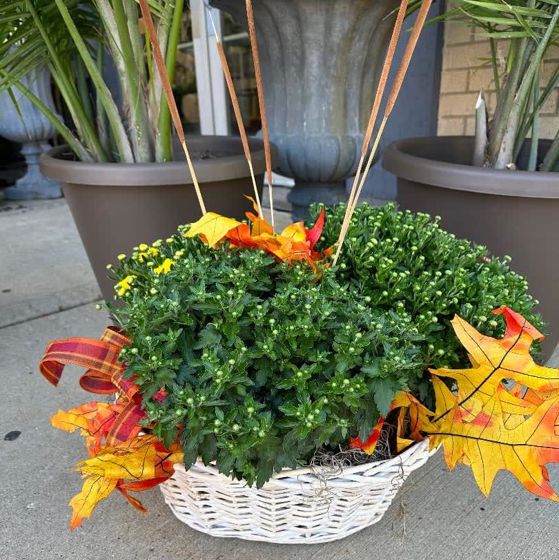 Elgin IL Florist FREE Flower Delivery in Elgin IL Town & Country