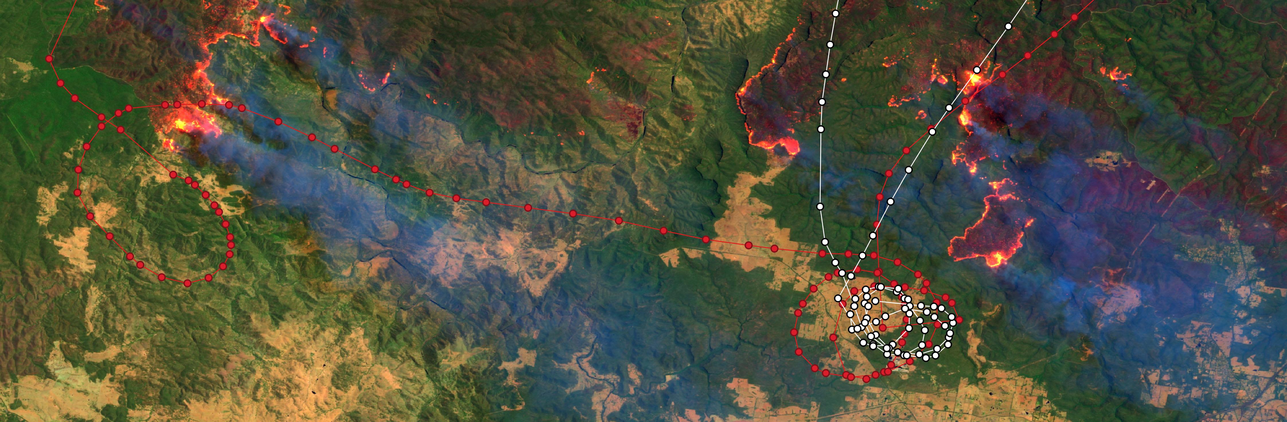 Fig.1 - Sentinel-2A from the 31.12.2019 00:06:06 UTC with NSW Rural Fire Service Plane Routes - BMBR 137 & BMBR 138