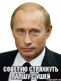 советую стряхнуть лапшу с ушей