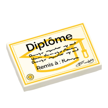 Figurine personnalisée, Diplôme - brique Lego imprimée, cadeau jeune diplome, bac, brevet, licence, master, briquestore-ZZ-AC-IMP-1235, 