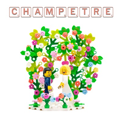Mariage Lego cake topper original arche figurines mariage mariés wedding cake pièce montée