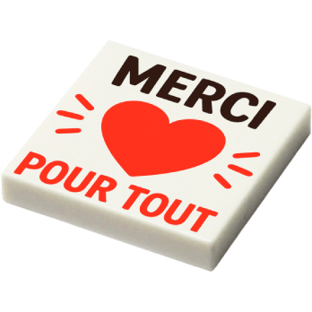Plaque - "Merci pour tout" (R102) - plaque Lego imprimée