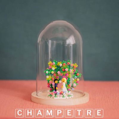 Mariage Lego cake topper original arche figurines mariage mariés wedding cake pièce montée cloche verre