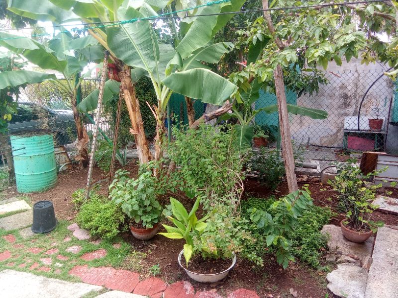 Venta de casa en Miramar · foto 6
