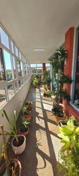 Penthouse de Rosita Fornes