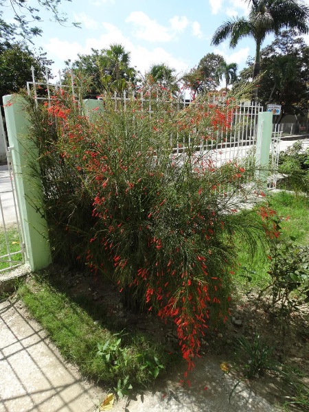 Se vende amplia casa en Holguín reparto Vista Alegre