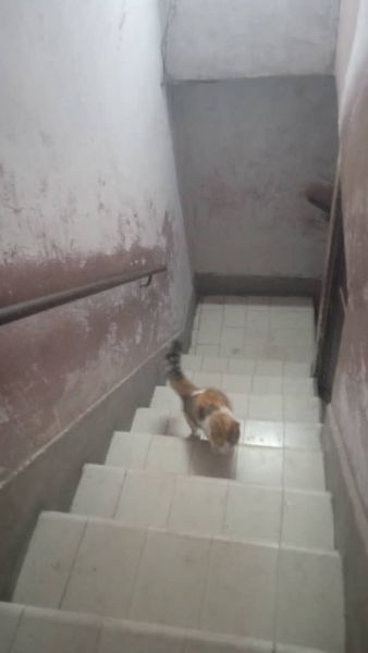 Se vende casa de dos plantas