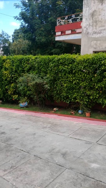 Ca d’Oro Nuevo Vedado