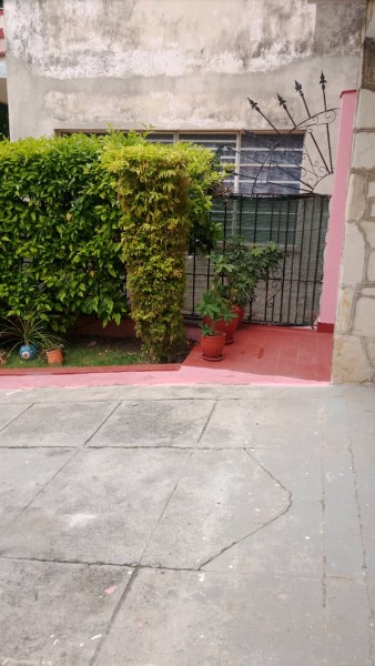 Ca d’Oro Nuevo Vedado