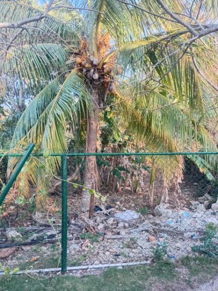 🌟 ¡TERRENO GIGANTE EN GUANABO (BRISAS DEL MAR)! Casi 1 Hectárea + Casa + Gas de la Calle 🌊+ Sin Apagones💡