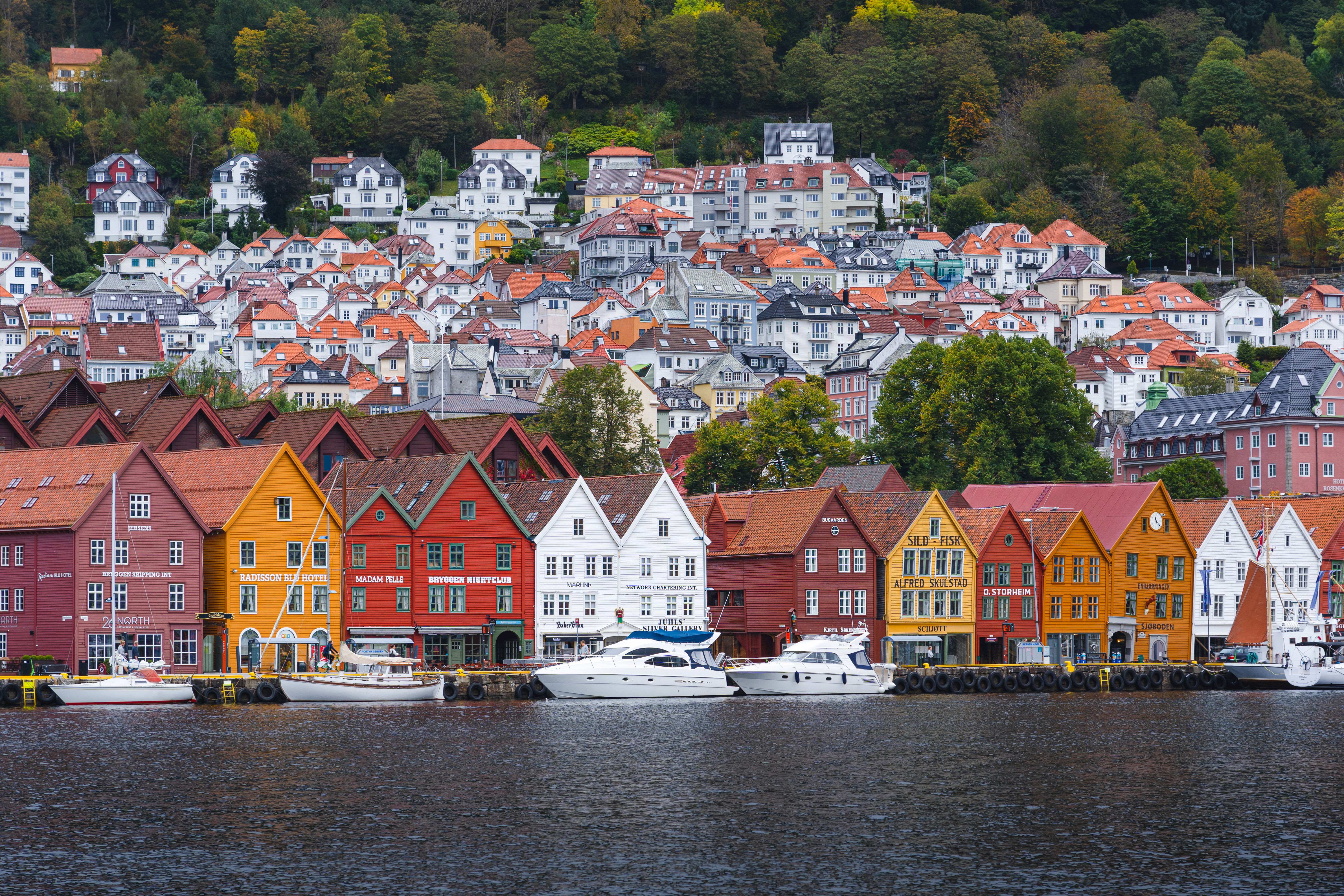 Planen Sie Ihre Reise nach Bergen  Aktivitäten, Hotels, Essen und Trinken