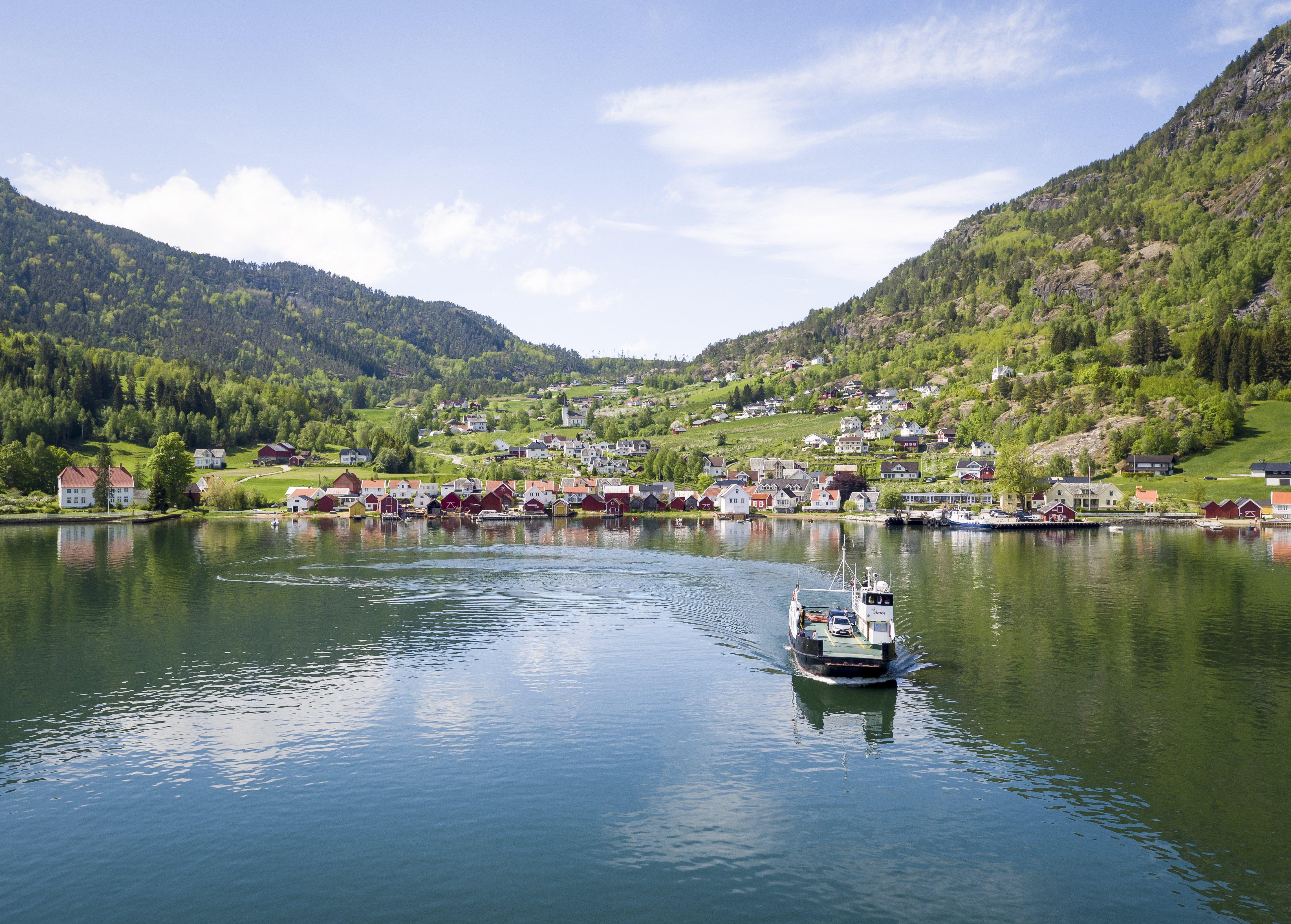 Fjord Cruise Sognefjord Fjord Norway