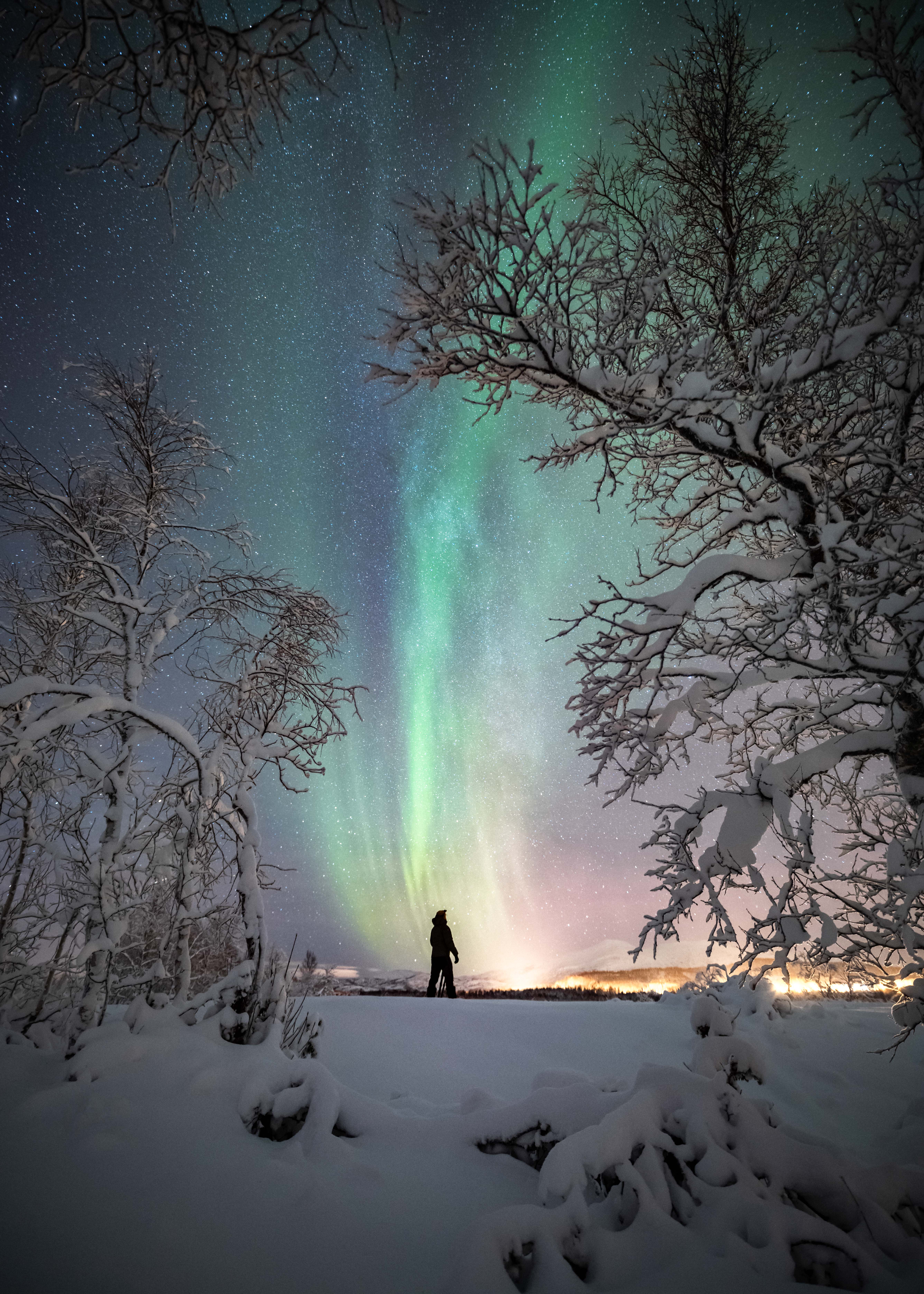 The best places to see the Northern Lights in Bodø and Salten