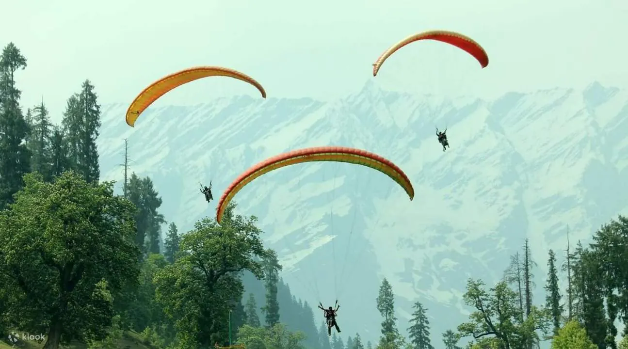Himachal Paragliding in Manali - Image 1