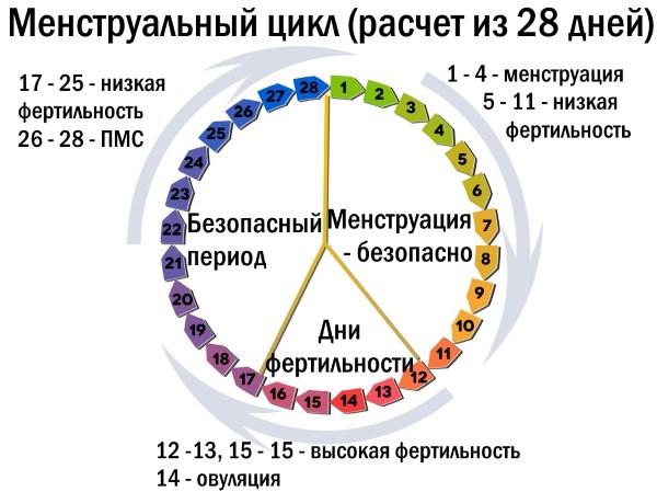Расчёт менструального цикла