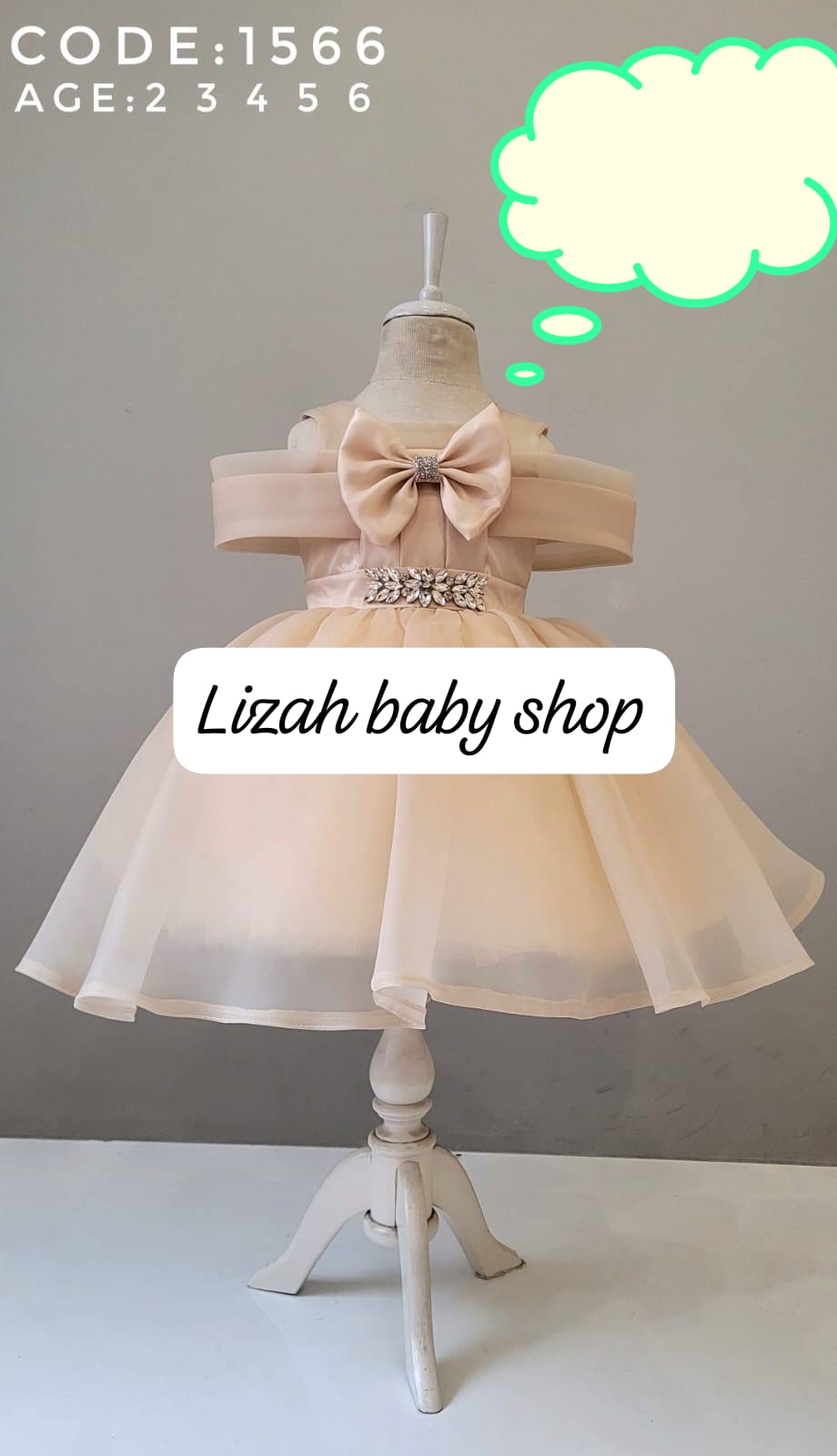Kids net dresses