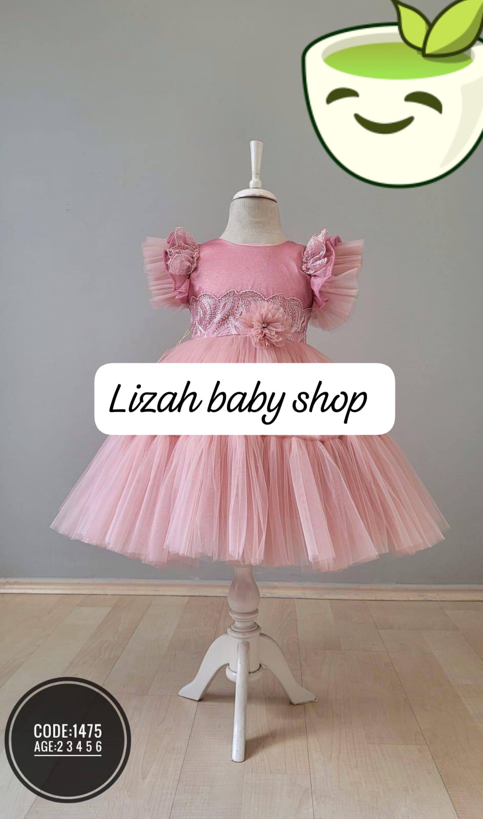 Kids net dresses