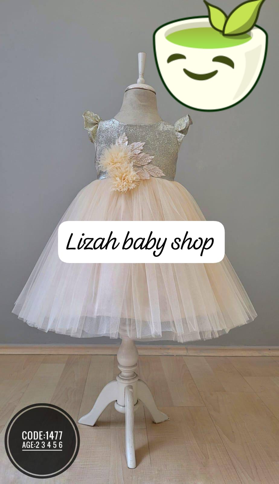 Kids net dresses