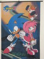 sonic and amy talis
