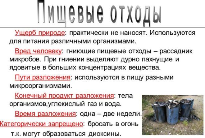 Обои