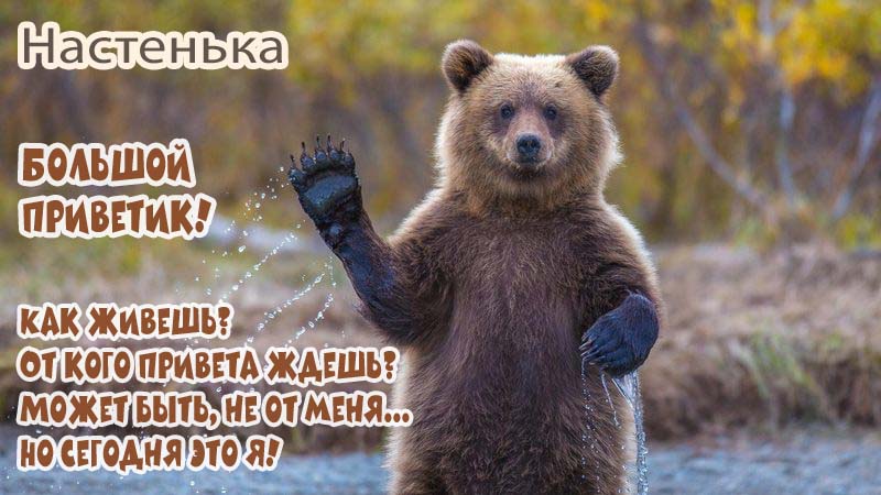 Открытка Привет! Как дела?