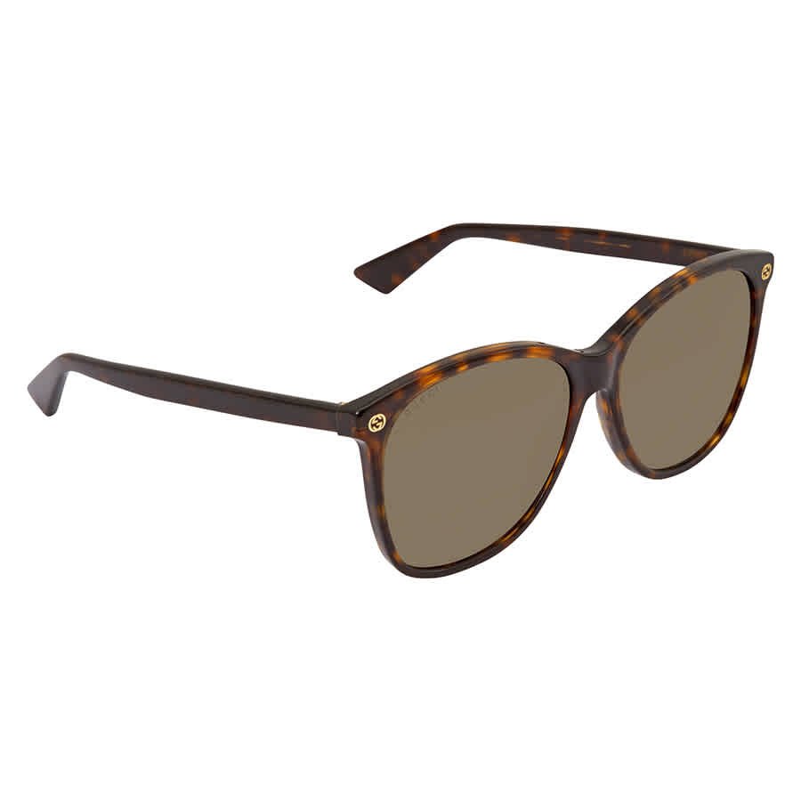 Gucci Brown Shaded Square Ladies Sunglasses Gg0024s 008 58