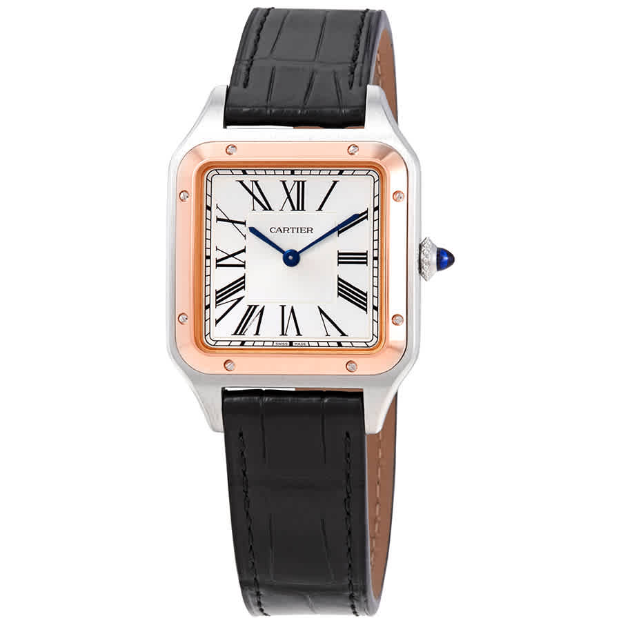 Cartier Santos-dumont Large Silver Dial Watch W2sa0011 In Black / Blue / Gold / Rose / Rose Gold / Silver