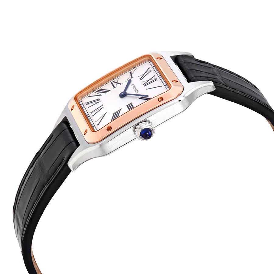 Shop Cartier Santos-dumont Large Silver Dial Watch W2sa0011 In Black / Blue / Gold / Rose / Rose Gold / Silver