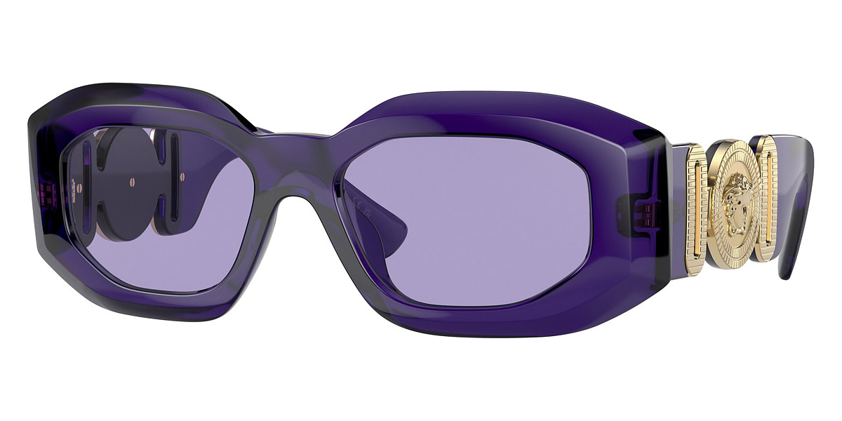 Versace Man Sunglass Ve4425u 0ve4425u In Purple / Violet