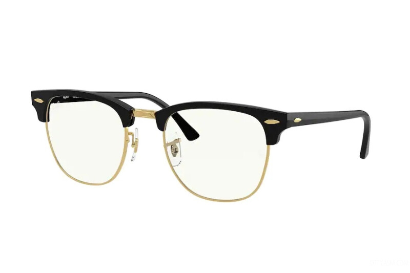 Ray Ban Ray In Black / Blue