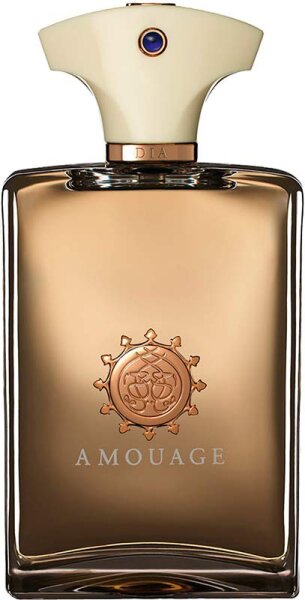 Amouage Mens Dia Edp Spray 3.4 oz Fragrances 701666410034 In Plum