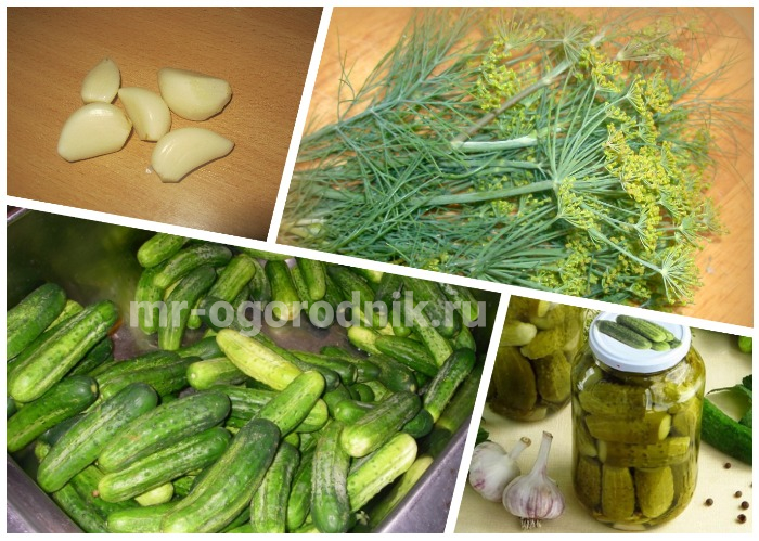 Маринованные хрустящие огуры
