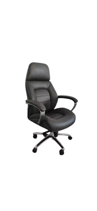 Ergonomic High-Back Leather Executive Office Chair with Lumbar Support and Adjustable Height
