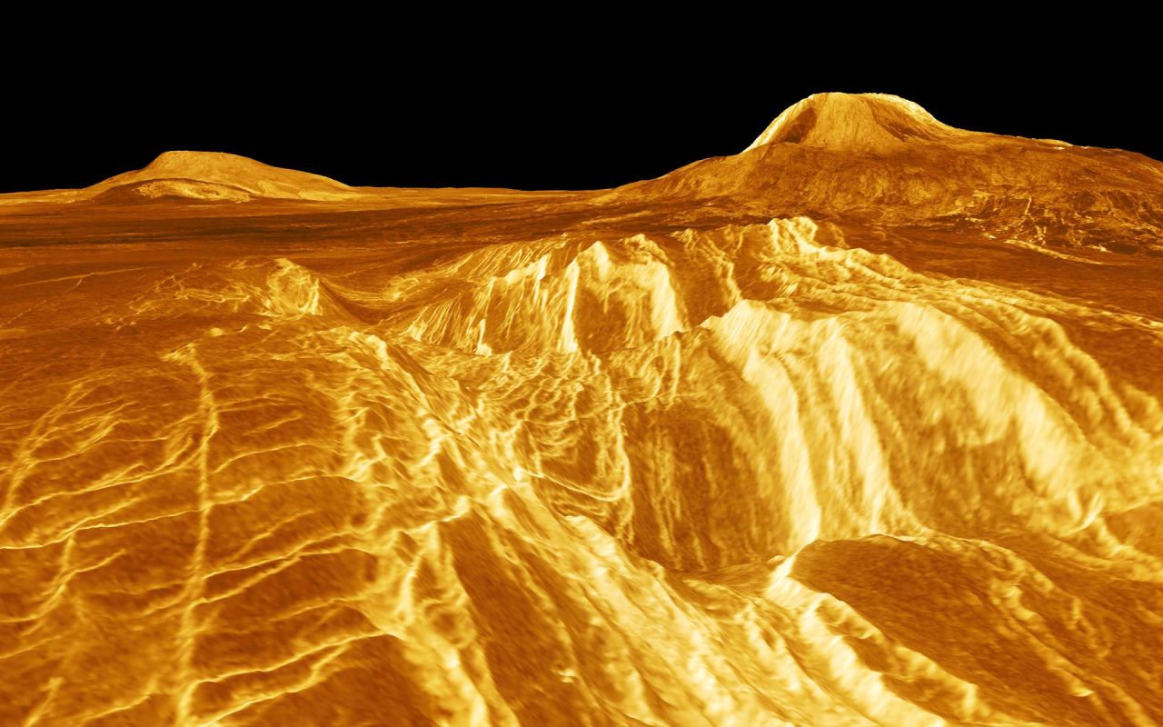 DK Find Out! Fun Facts for Kids on Animals, Earth, History and more!